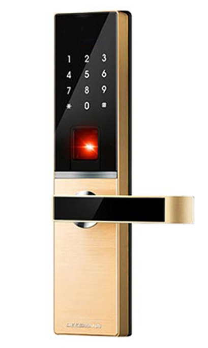Khóa cửa vân tay Đức Dessman G810